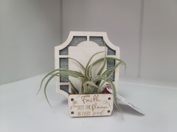 Magnetic Air Plant Holder-Multiple Designs Available