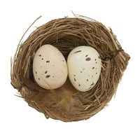 Natural Eggs In Nest