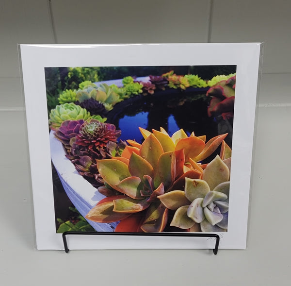 Succulent Pool Profesional Photography Print