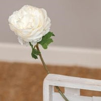 White Peony Rose Stem