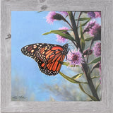 The Monarch's Garden By Kim Norlien Framed Print