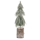 Snowy Long Needle Pine Tree