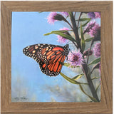 The Monarch's Garden By Kim Norlien Framed Print