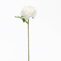 White Peony Rose Stem