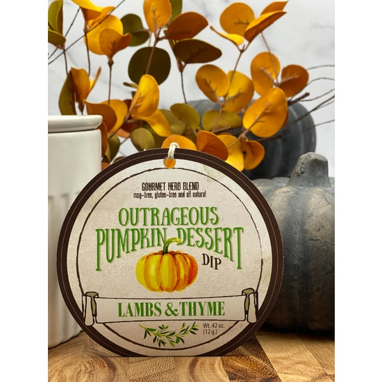 Outrageous Pumpkin Dessert Dip Gourmet Herb Blend - MSG-Free, Gluten-Free, and All Natural