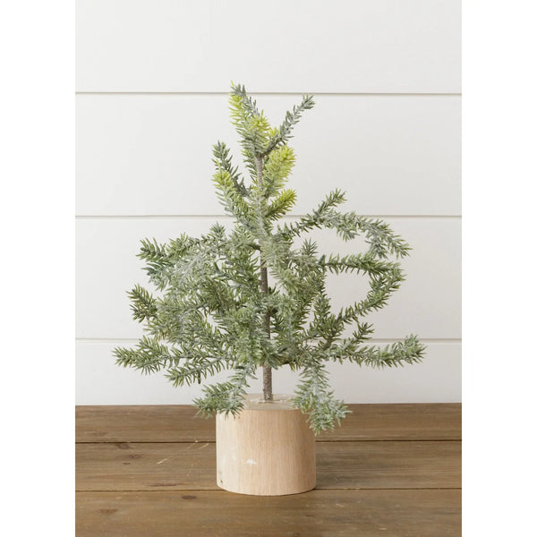 12" Frosted Pine Tree In Wooden Base